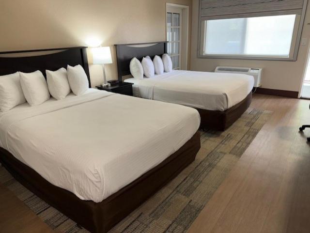 Stanford Inn & Suites Anaheim Kültér fotó